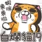 白爛貓19 動激動